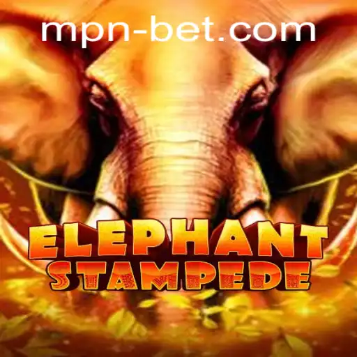 mpnbet Casino App